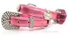 Pink Crown Bling Collar by Cha-Cha Couture